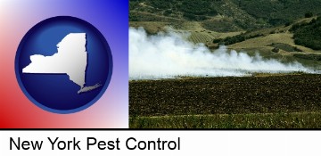 agricultural pest control in New York, NY