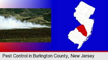 agricultural pest control; Burlington County highlighted in red on a map