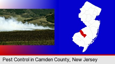 agricultural pest control; Camden County highlighted in red on a map