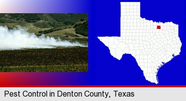 agricultural pest control; Denton County highlighted in red on a map