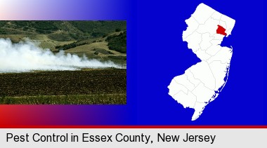 agricultural pest control; Essex County highlighted in red on a map
