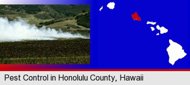 agricultural pest control; Honolulu County highlighted in red on a map