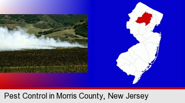 agricultural pest control; Morris County highlighted in red on a map