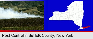 agricultural pest control; Suffolk County highlighted in red on a map